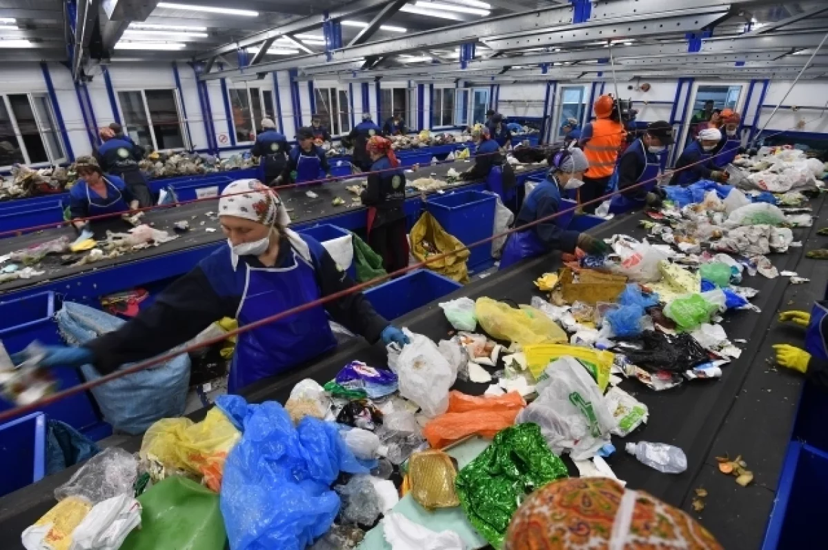 Популярные мифы о сортировке отходов: разбор и опровержение